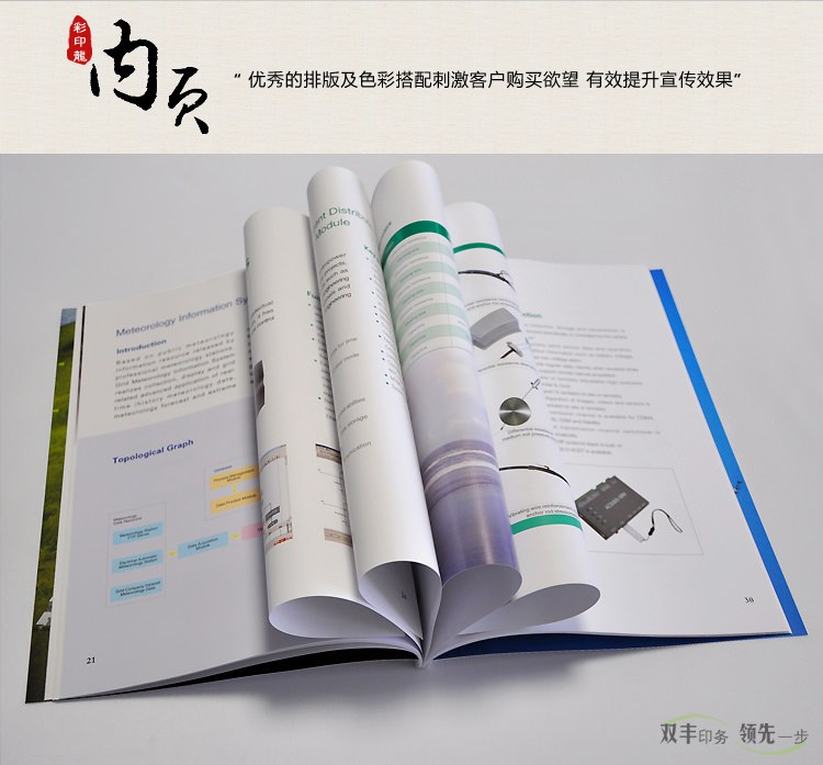 內(nèi)頁：優(yōu)秀的排版及色彩搭配刺激客戶購買欲望，有效提升宣傳效果